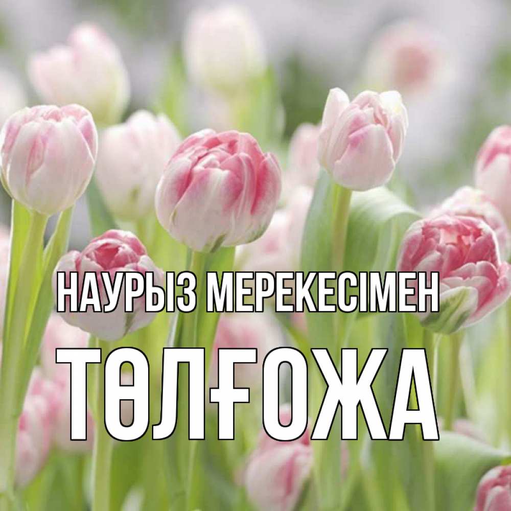 Күн сайын ашық хат с именем, ТӨЛҒОЖА Наурыз мерекесімен цветы Онлайн тегін жүктеп алу тілектері бар керемет карта 