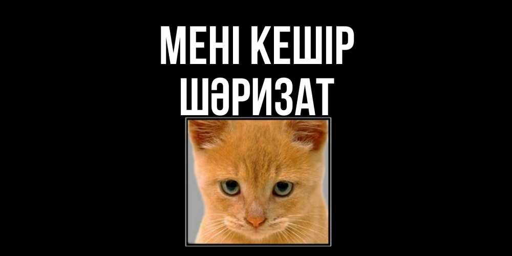 Күн сайын ашық хат с именем, ШӘРИЗАТ Мені кешір рыжий грустный кот просит прощения Онлайн тегін жүктеп алу тілектері бар керемет карта 