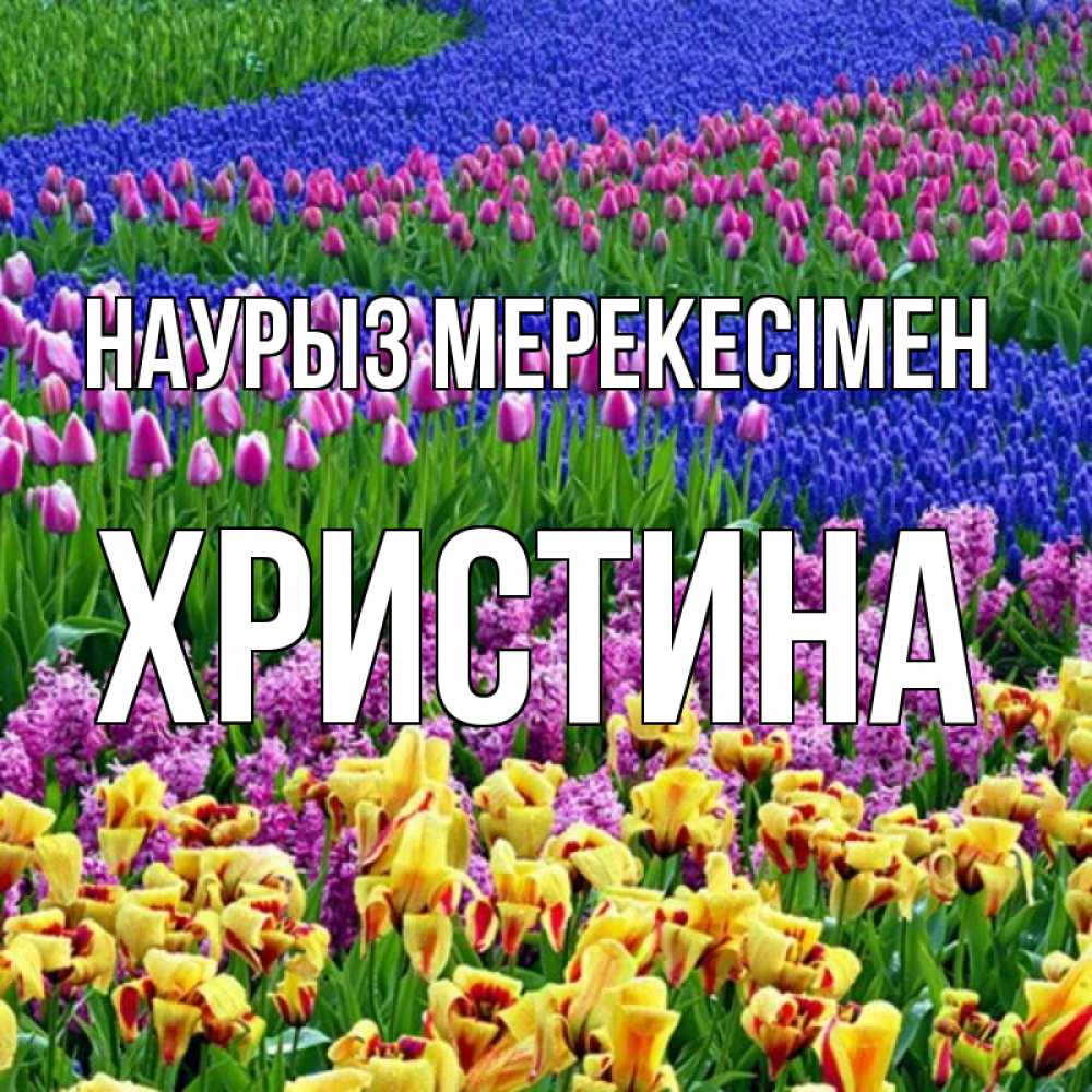 Күн сайын ашық хат с именем, Христина Наурыз мерекесімен цветы Онлайн тегін жүктеп алу тілектері бар керемет карта 