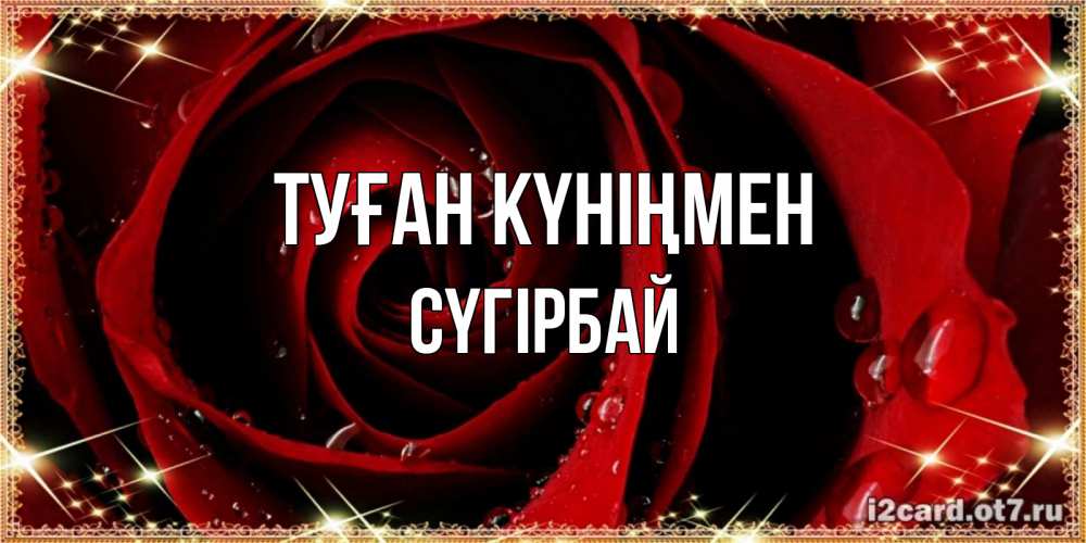 Күн сайын ашық хат с именем, СҮГІРБАЙ Туған күніңмен цветок в росе на день рождения Онлайн тегін жүктеп алу тілектері бар керемет карта 