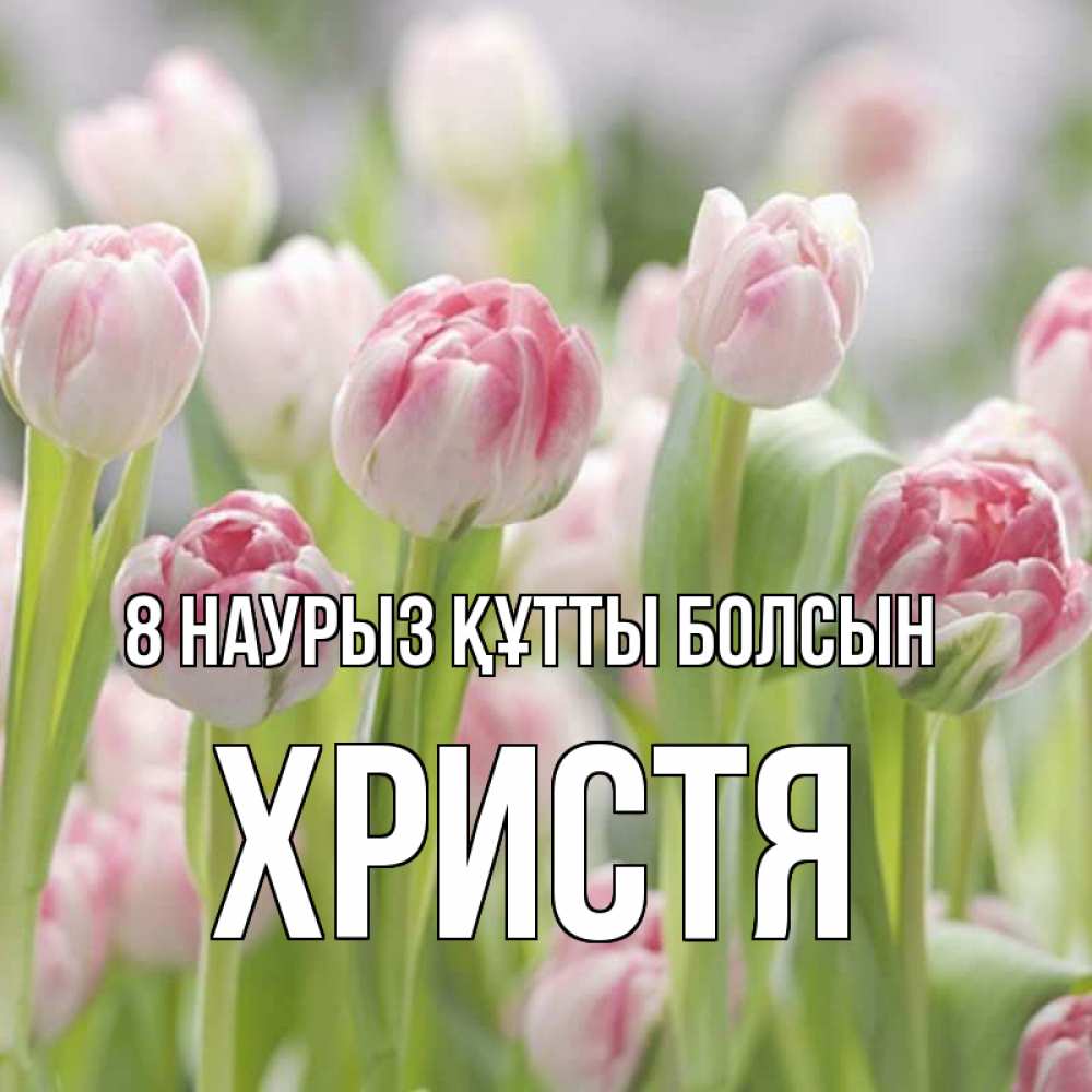 Күн сайын ашық хат с именем, Христя 8 наурыз құтты болсын цветы Онлайн тегін жүктеп алу тілектері бар керемет карта 