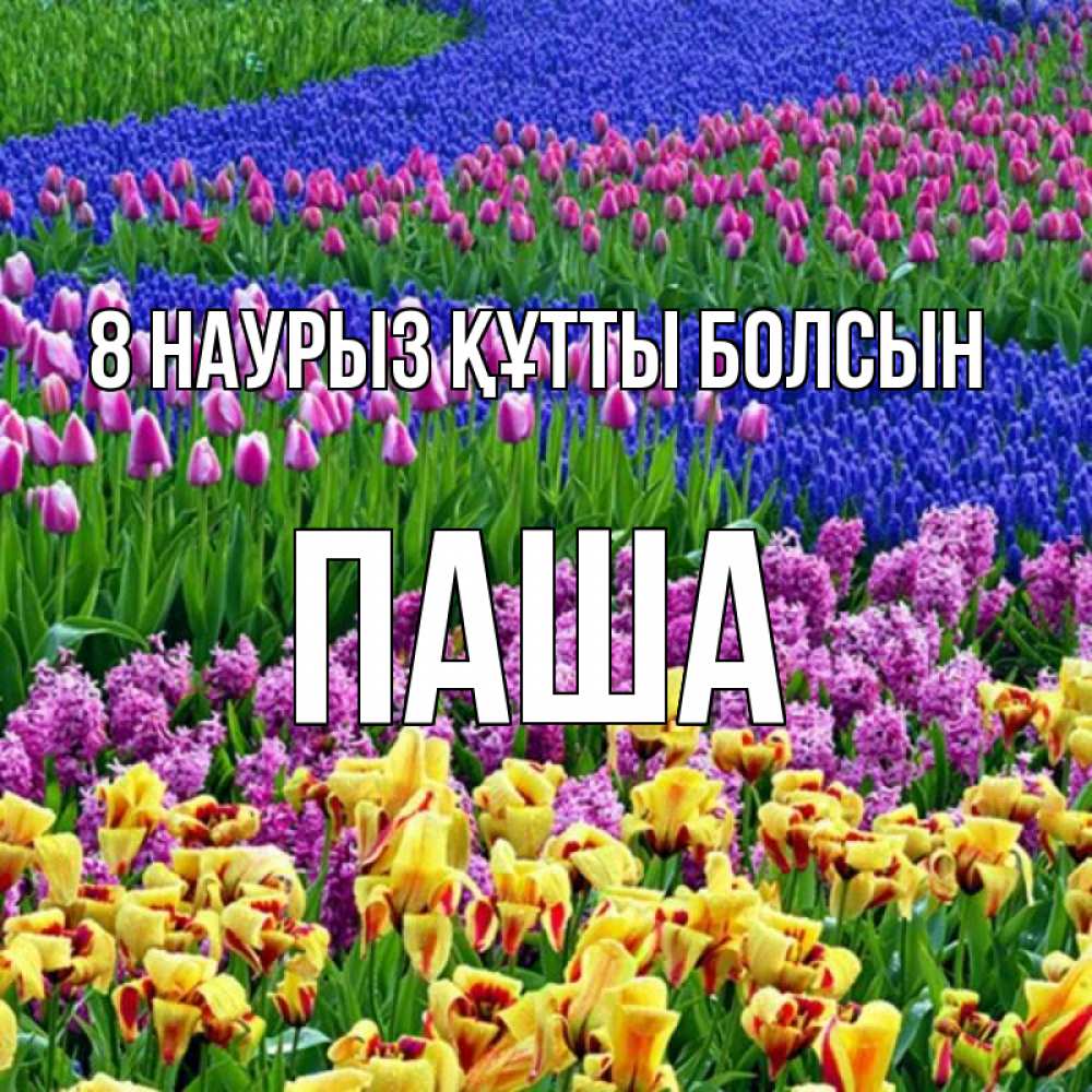 Күн сайын ашық хат с именем, Паша 8 наурыз құтты болсын цветы Онлайн тегін жүктеп алу тілектері бар керемет карта 