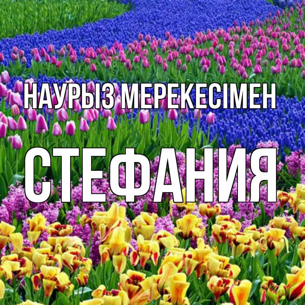 Күн сайын ашық хат с именем, Стефания Наурыз мерекесімен цветы Онлайн тегін жүктеп алу тілектері бар керемет карта 