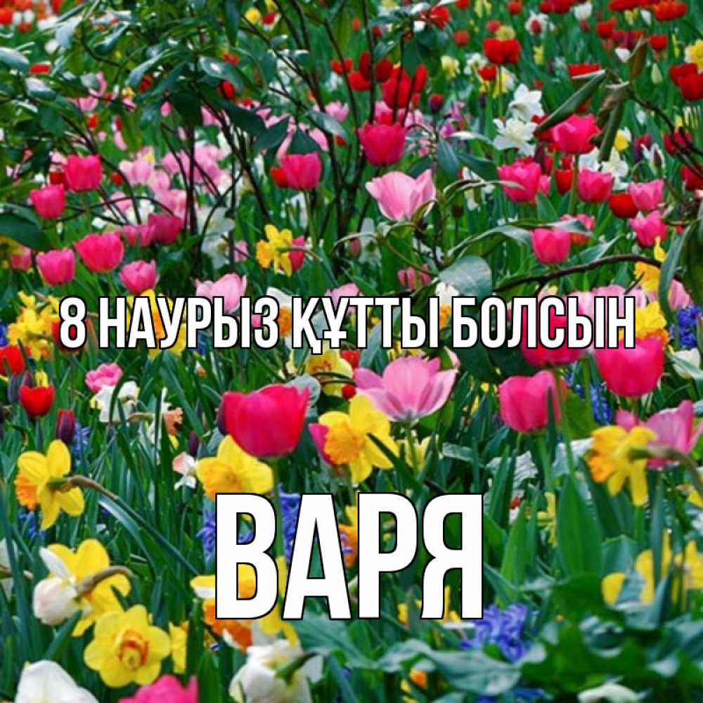 Күн сайын ашық хат с именем, Варя 8 наурыз құтты болсын с международным женским днем поздравления для женщины Онлайн тегін жүктеп алу тілектері бар керемет карта 