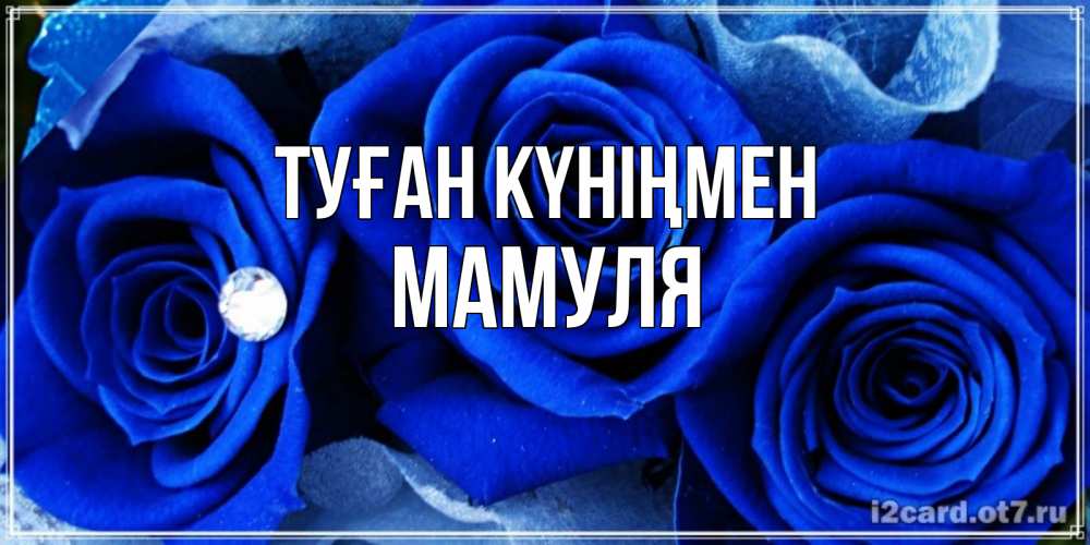 Күн сайын ашық хат с именем, Мамуля Туған күніңмен синие розы в росе Онлайн тегін жүктеп алу тілектері бар керемет карта 