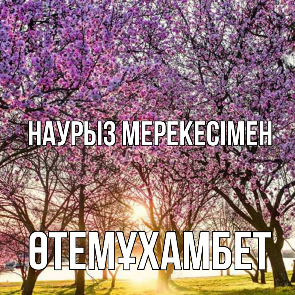 Күн сайын ашық хат с именем, ӨТЕМҰХАМБЕТ Наурыз мерекесімен праздник весны наурыз Онлайн тегін жүктеп алу тілектері бар керемет карта 