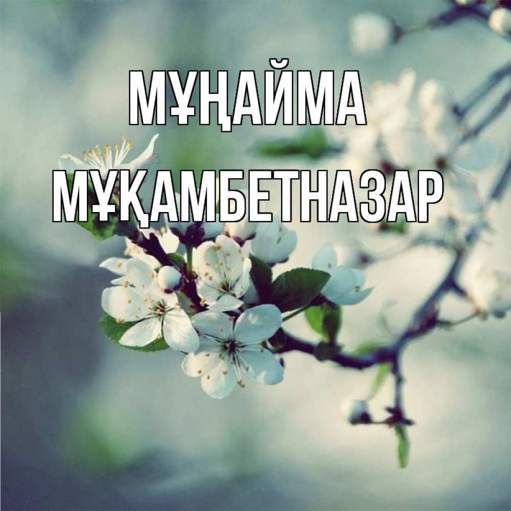 Күн сайын ашық хат с именем, Мұқамбетназар Мұңайма яблоня в цвету 1 Онлайн тегін жүктеп алу тілектері бар керемет карта 