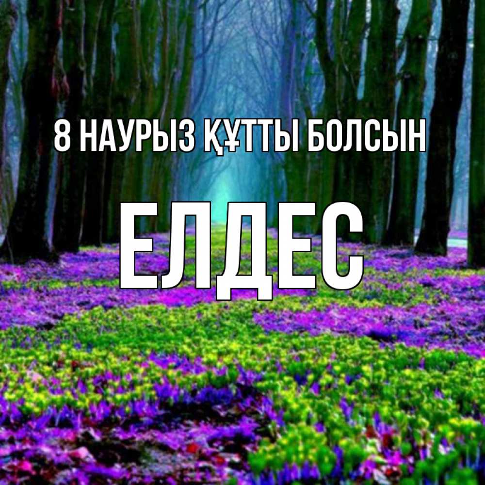 Күн сайын ашық хат с именем, Елдес 8 наурыз құтты болсын фиолетовые цветы в лесу 1 Онлайн тегін жүктеп алу тілектері бар керемет карта 