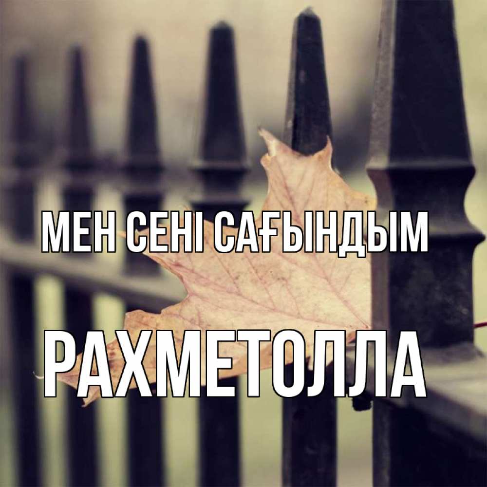 Күн сайын ашық хат с именем, РАХМЕТОЛЛА Мен сені сағындым очень скучно Онлайн тегін жүктеп алу тілектері бар керемет карта 