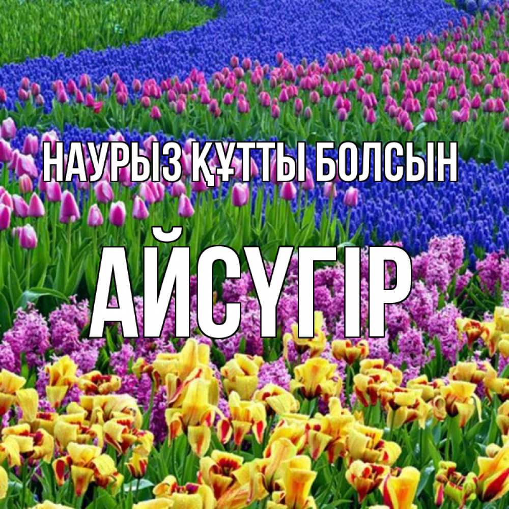 Күн сайын ашық хат с именем, Айсүгір Наурыз құтты болсын цветы Онлайн тегін жүктеп алу тілектері бар керемет карта 