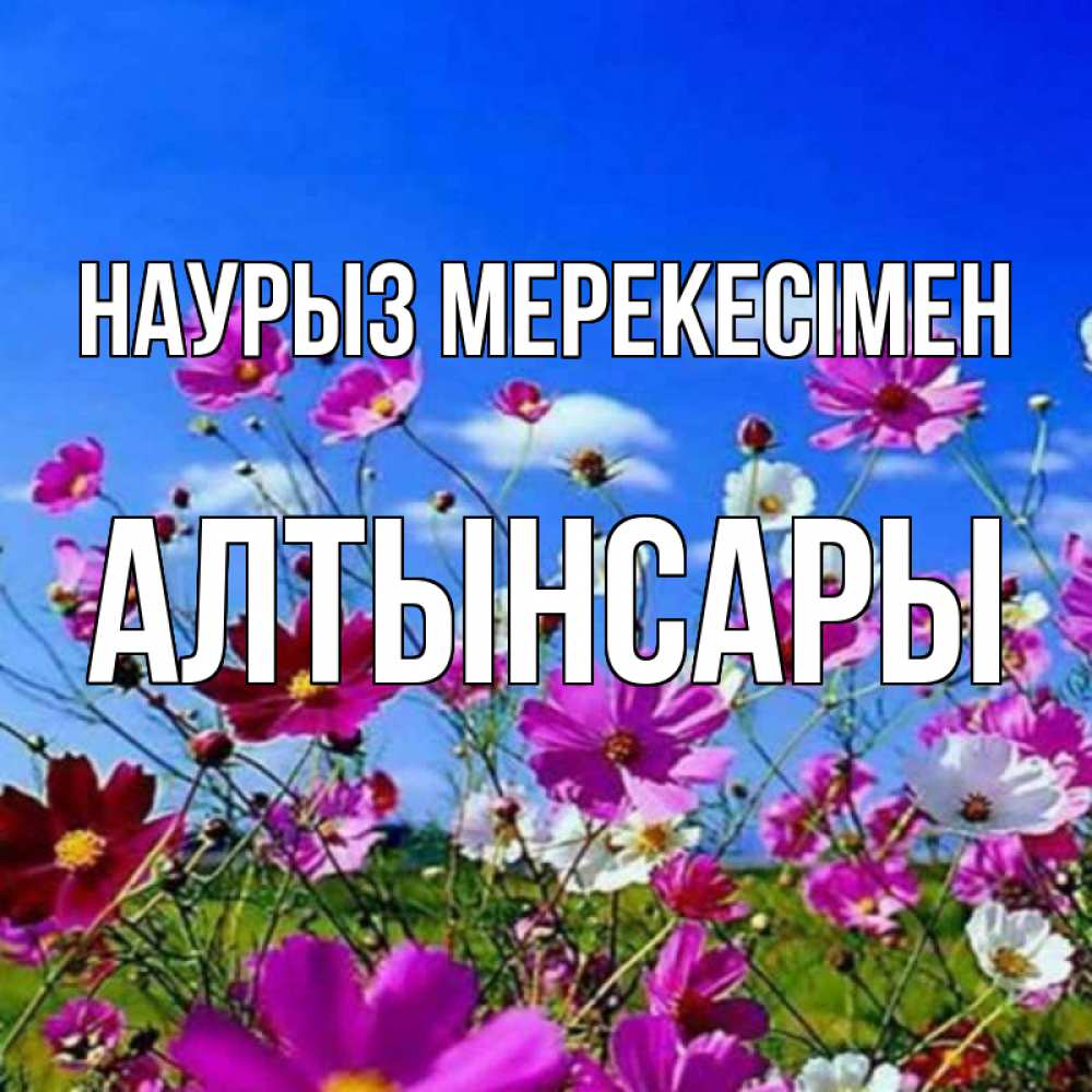Күн сайын ашық хат с именем, Алтынсары Наурыз мерекесімен цветы Онлайн тегін жүктеп алу тілектері бар керемет карта 