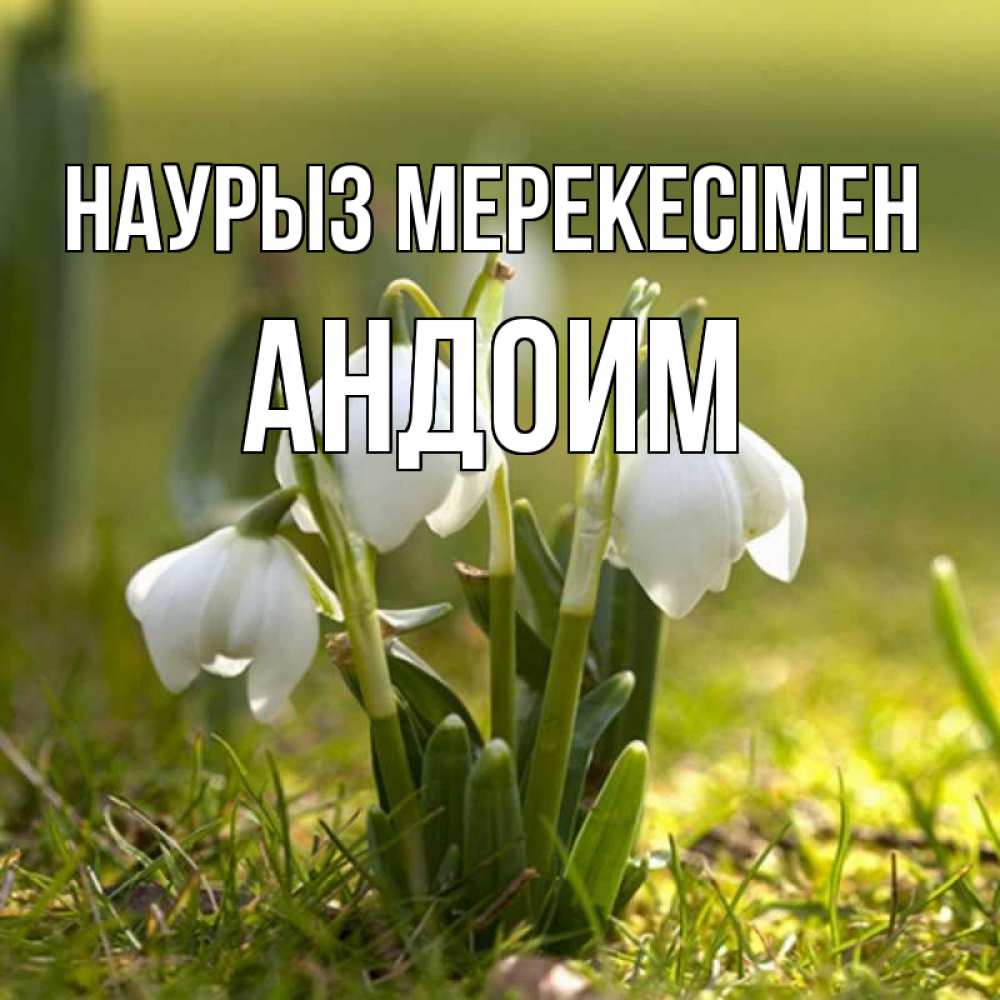 Күн сайын ашық хат с именем, Андоим Наурыз мерекесімен ранние цветы 2 Онлайн тегін жүктеп алу тілектері бар керемет карта 