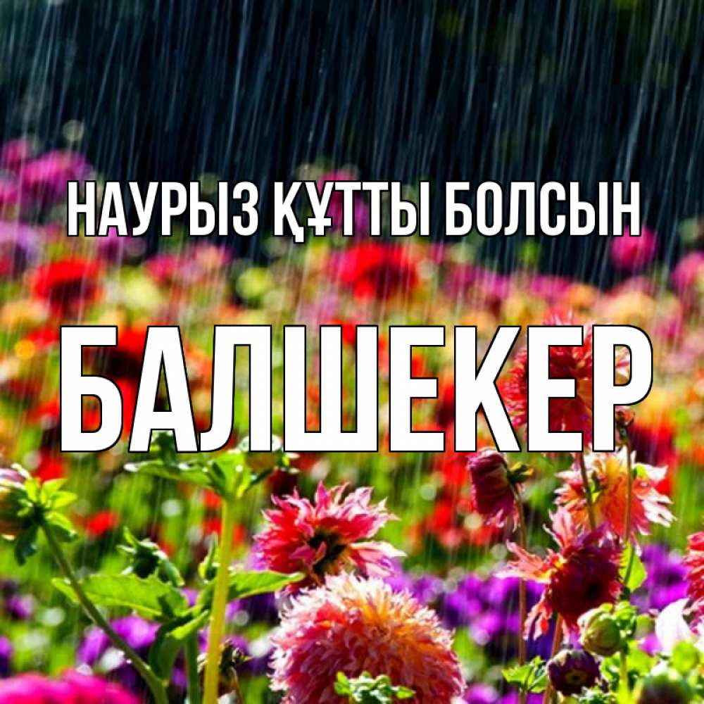 Күн сайын ашық хат с именем, БАЛШЕКЕР Наурыз құтты болсын цветы под дождиком к наурызу Онлайн тегін жүктеп алу тілектері бар керемет карта 
