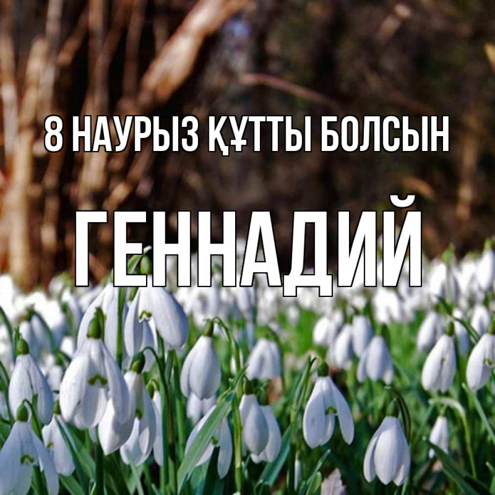 Күн сайын ашық хат с именем, Геннадий 8 наурыз құтты болсын с подснежниками 1 Онлайн тегін жүктеп алу тілектері бар керемет карта 