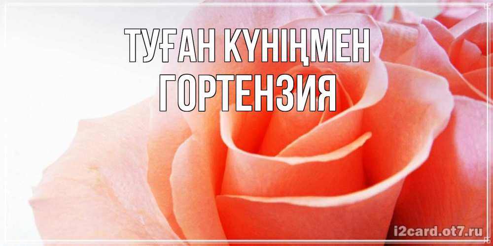 Күн сайын ашық хат с именем, Гортензия Туған күніңмен розы для поздравления с днем рождения Онлайн тегін жүктеп алу тілектері бар керемет карта 