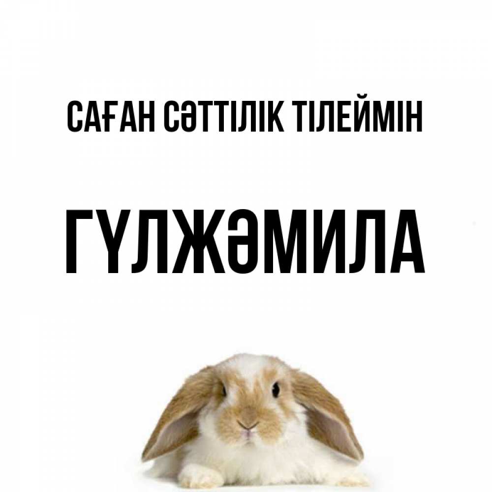 Күн сайын ашық хат с именем, ГҮЛЖӘМИЛА Саған сәттілік тілеймін открытки с произвольным текстом который можно вставить в открытку и создать ее самостоятельно бесплатно онлайн Онлайн тегін жүктеп алу тілектері бар керемет карта 