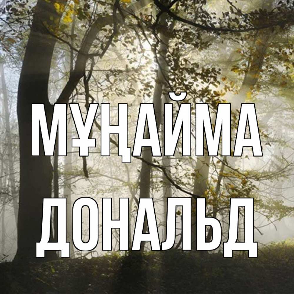 Күн сайын ашық хат с именем, Дональд Мұңайма лес и свет Онлайн тегін жүктеп алу тілектері бар керемет карта 