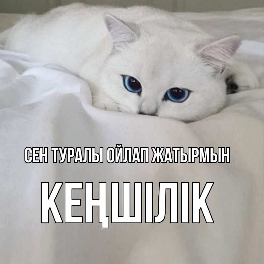 Күн сайын ашық хат с именем, Кеңшілік Сен туралы ойлап жатырмын я очень по тебе скучаю и тоскую Онлайн тегін жүктеп алу тілектері бар керемет карта 