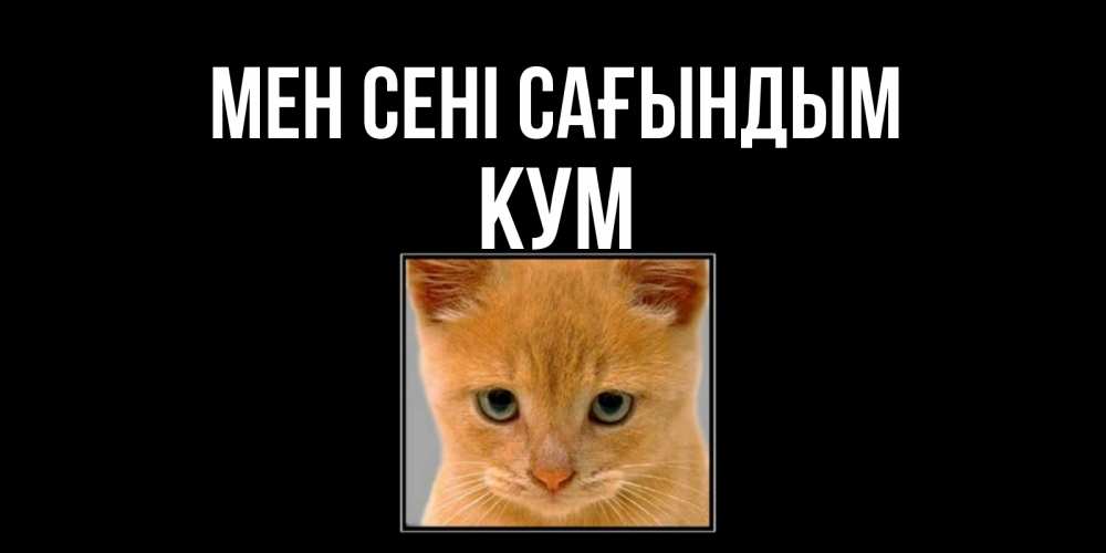 Күн сайын ашық хат с именем, Кум Мен сені сағындым открытки рыжий котенок скучает по тебе Онлайн тегін жүктеп алу тілектері бар керемет карта 