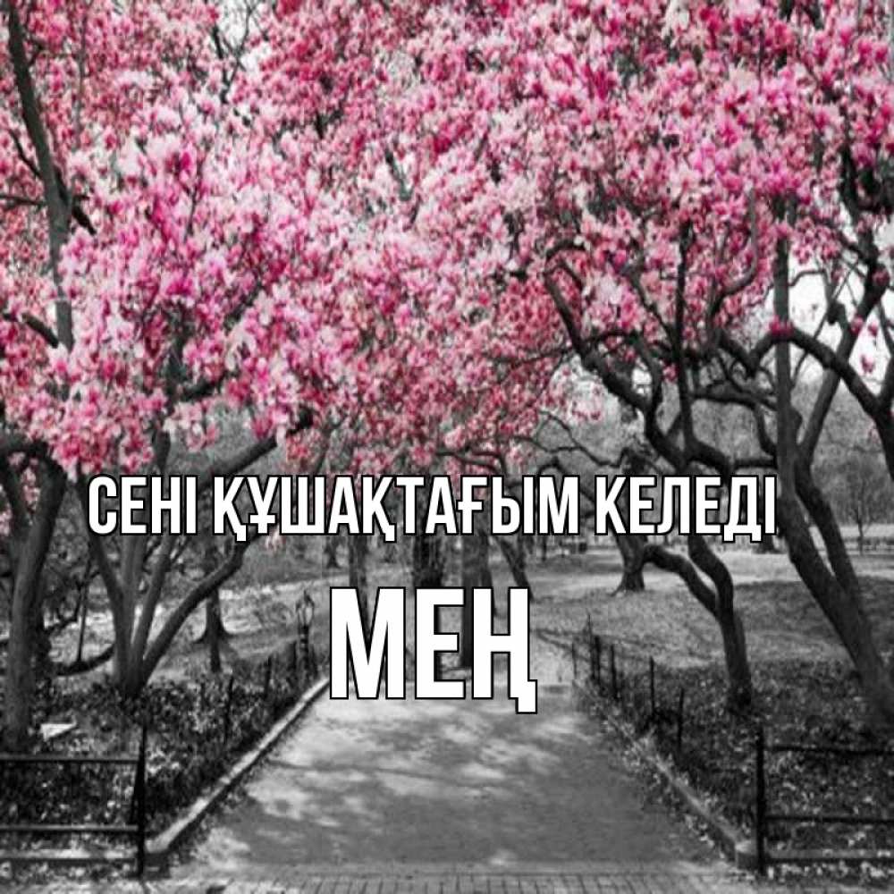 Күн сайын ашық хат с именем, МЕҢ сені құшақтағым келеді обработанное фото Онлайн тегін жүктеп алу тілектері бар керемет карта 