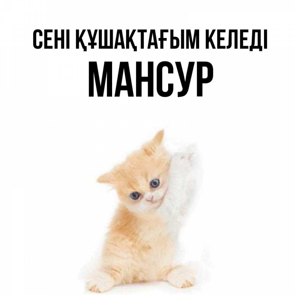 Күн сайын ашық хат с именем, Мансур сені құшақтағым келеді я хочу очень скорее обнимаешек Онлайн тегін жүктеп алу тілектері бар керемет карта 