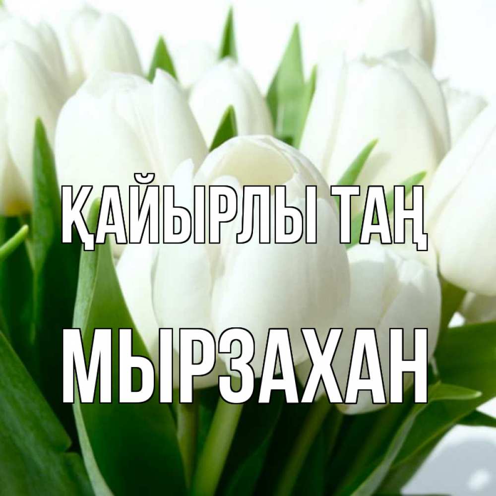 Күн сайын ашық хат с именем, Мырзахан Қайырлы таң открытки на каждый день по именам Онлайн тегін жүктеп алу тілектері бар керемет карта 
