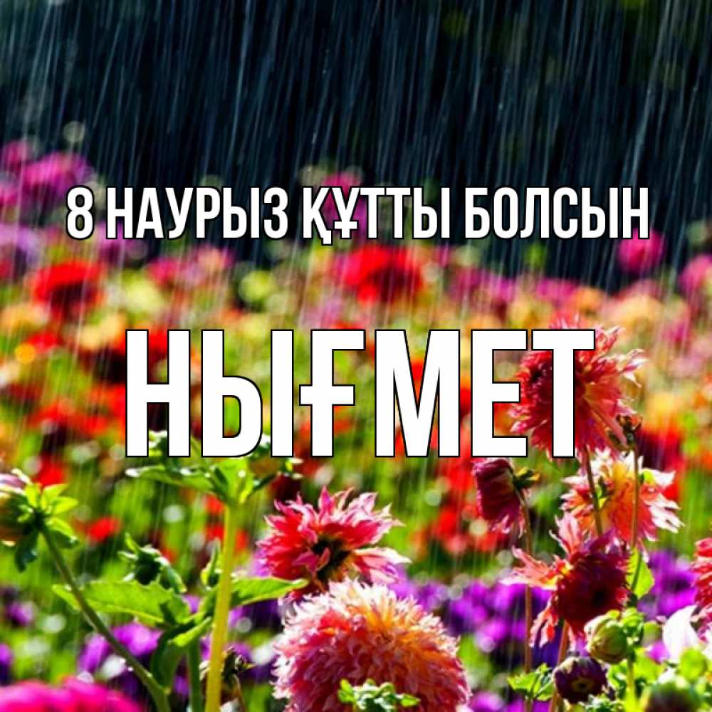 Күн сайын ашық хат с именем, НЫҒМЕТ 8 наурыз құтты болсын цветы под дождиком к международному женскому дню Онлайн тегін жүктеп алу тілектері бар керемет карта 