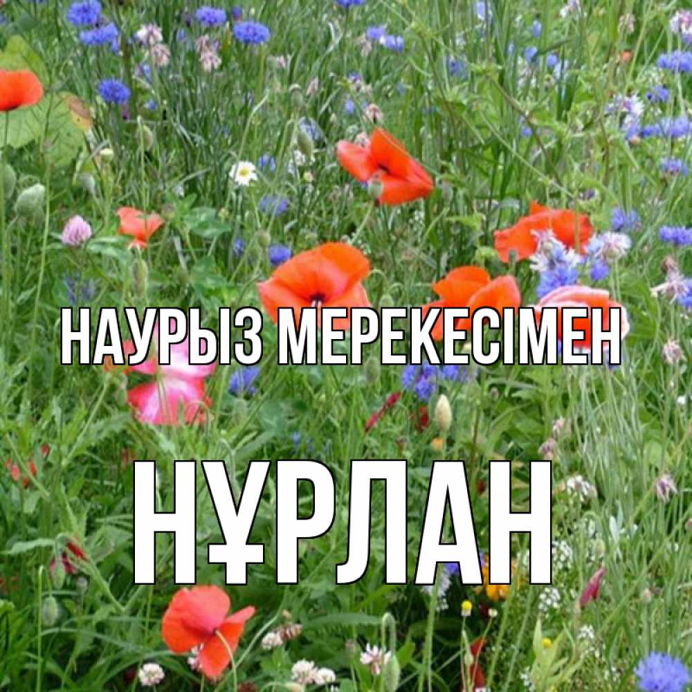 Күн сайын ашық хат с именем, НҰРЛАН Наурыз мерекесімен праздник весны наурыз супер открытка Онлайн тегін жүктеп алу тілектері бар керемет карта 