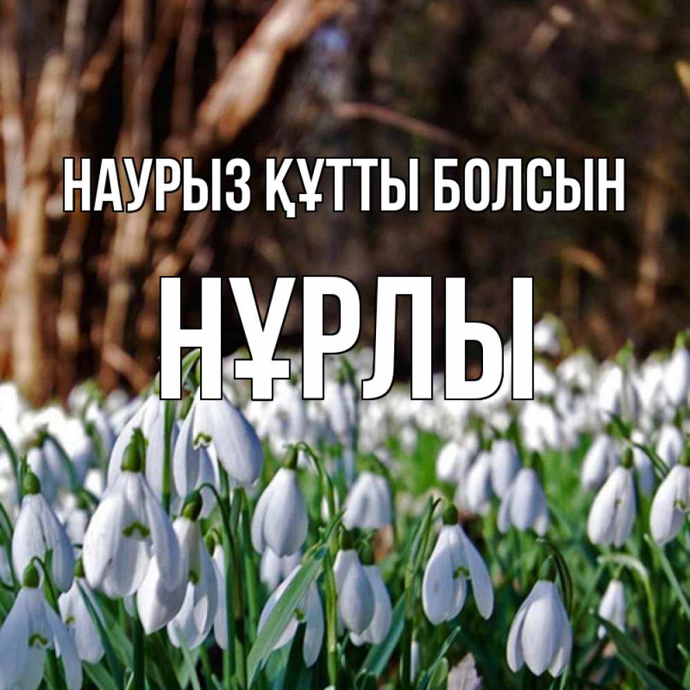 Күн сайын ашық хат с именем, НҰРЛЫ Наурыз құтты болсын с подснежниками 1 Онлайн тегін жүктеп алу тілектері бар керемет карта 