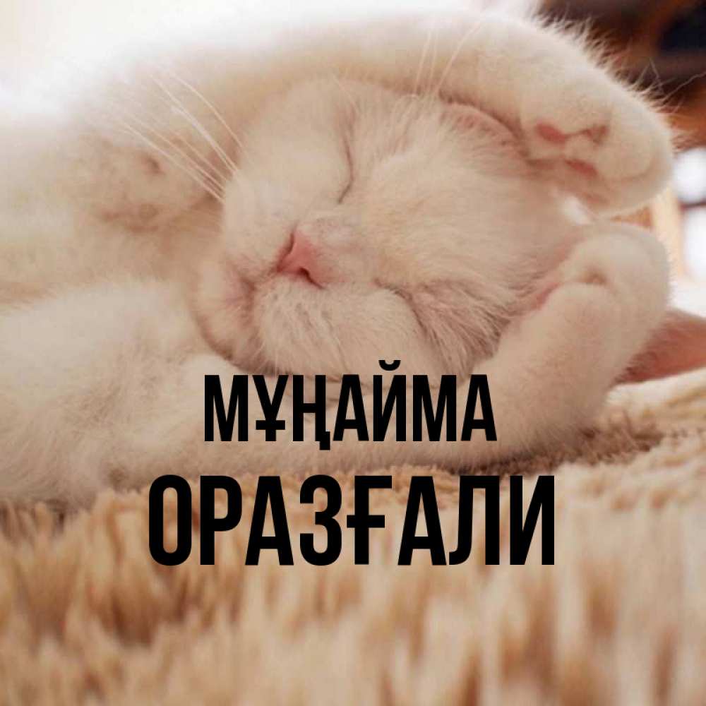 Күн сайын ашық хат с именем, ОРАЗҒАЛИ Мұңайма Котенок спит Онлайн тегін жүктеп алу тілектері бар керемет карта 