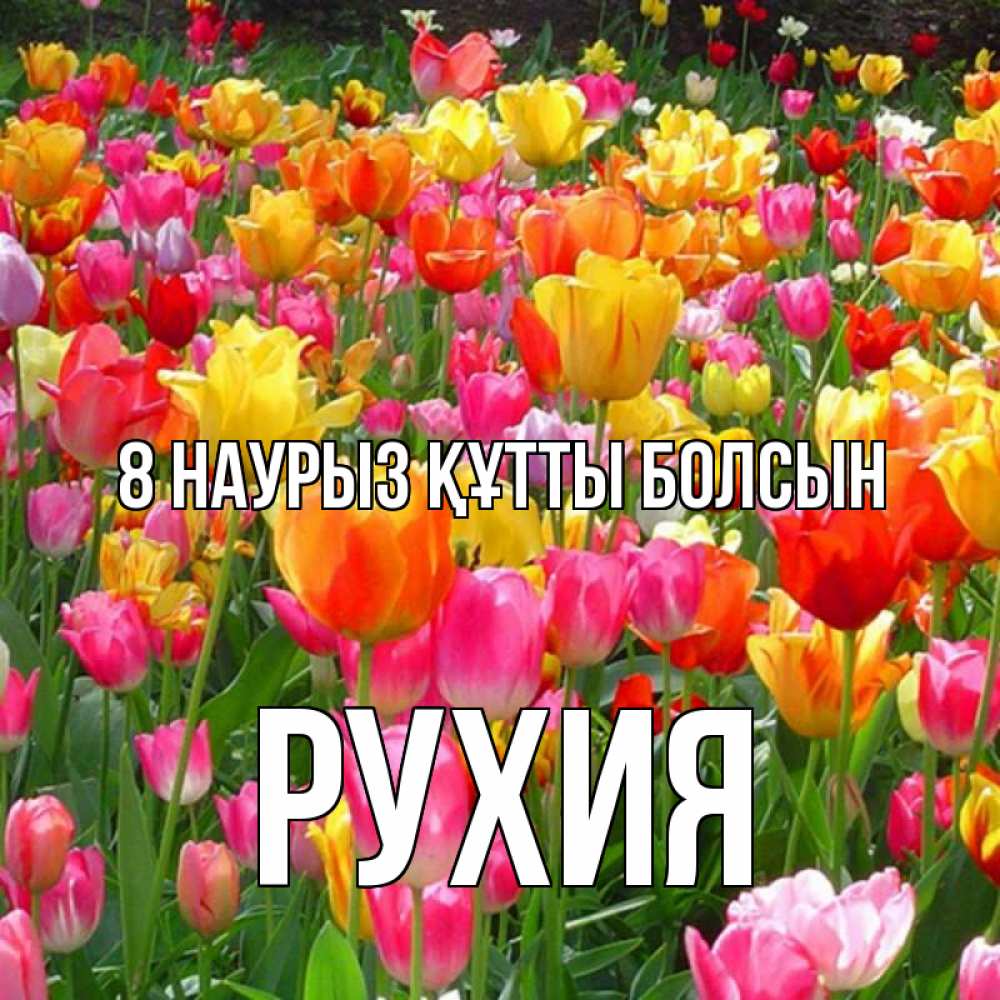 Күн сайын ашық хат с именем, РУХИЯ 8 наурыз құтты болсын на международный женский день Онлайн тегін жүктеп алу тілектері бар керемет карта 
