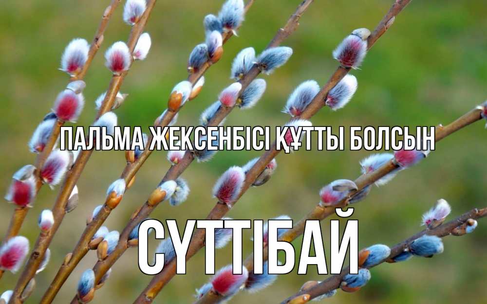 Күн сайын ашық хат с именем, СҮТТІБАЙ Пальма жексенбісі құтты болсын верба Онлайн тегін жүктеп алу тілектері бар керемет карта 