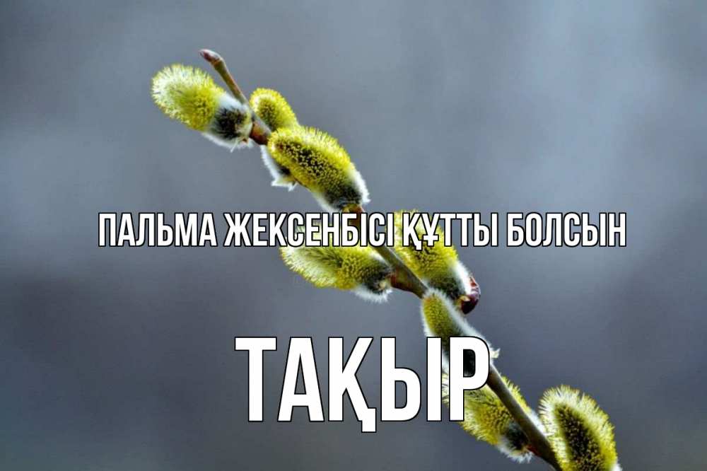 Күн сайын ашық хат с именем, ТАҚЫР Пальма жексенбісі құтты болсын верба Онлайн тегін жүктеп алу тілектері бар керемет карта 