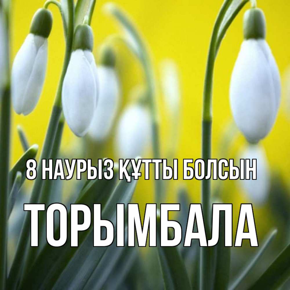 Күн сайын ашық хат с именем, ТОРЫМБАЛА 8 наурыз құтты болсын весенние цветы Онлайн тегін жүктеп алу тілектері бар керемет карта 