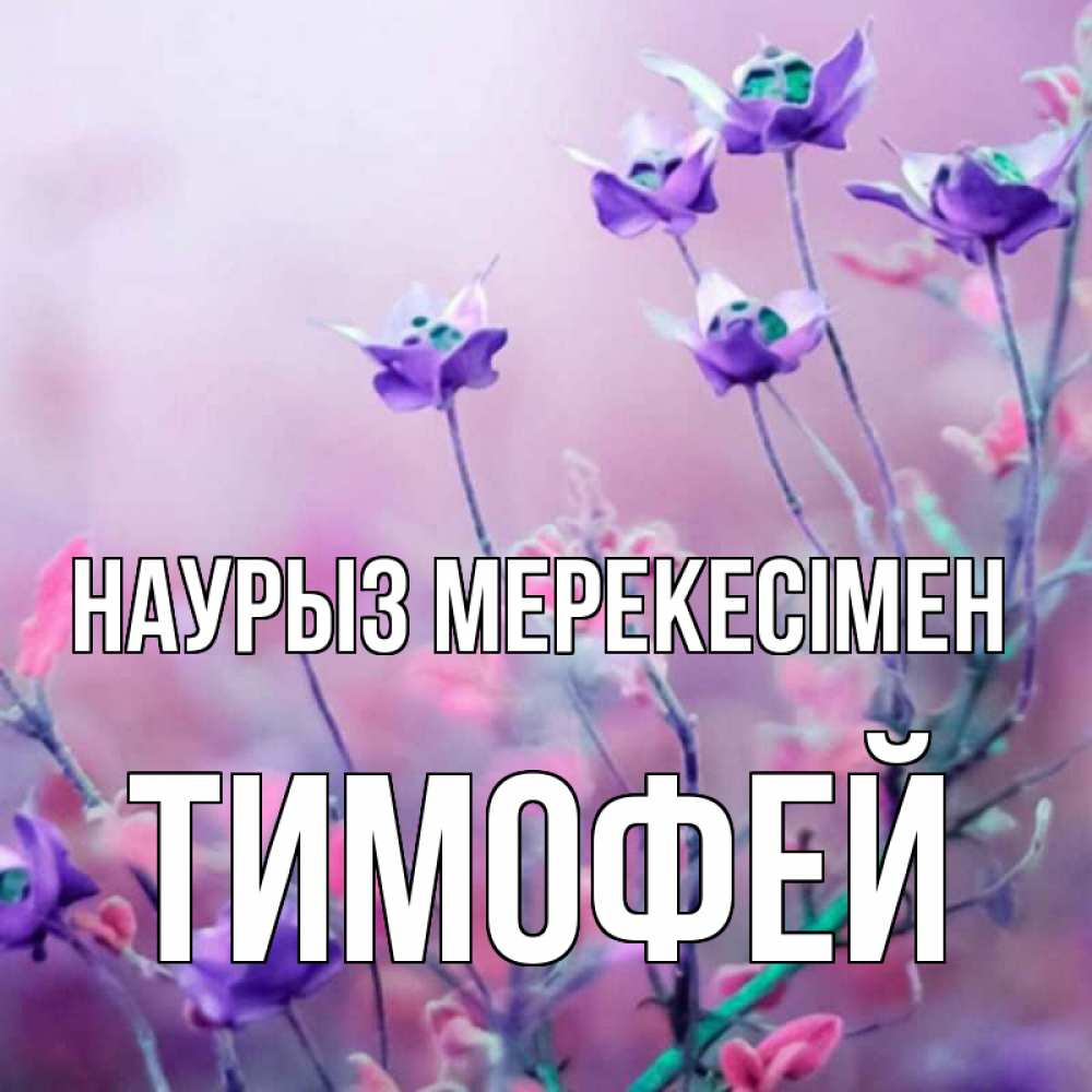 Күн сайын ашық хат с именем, Тимофей Наурыз мерекесімен международный женский день 2 Онлайн тегін жүктеп алу тілектері бар керемет карта 