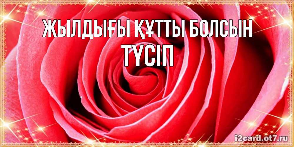 Күн сайын ашық хат с именем, ТҮСІП Жылдығы құтты болсын розовая роза очень крупный бутон Онлайн тегін жүктеп алу тілектері бар керемет карта 