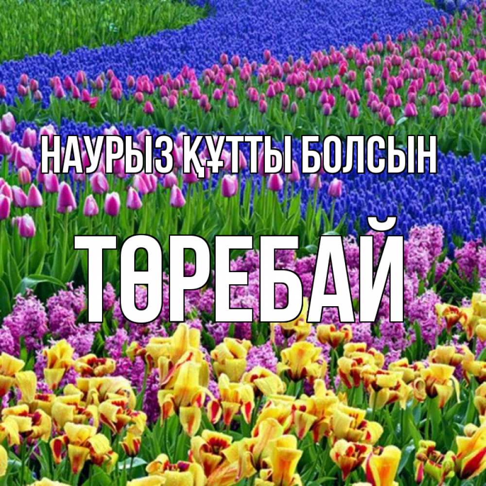 Күн сайын ашық хат с именем, Төребай Наурыз құтты болсын цветы Онлайн тегін жүктеп алу тілектері бар керемет карта 