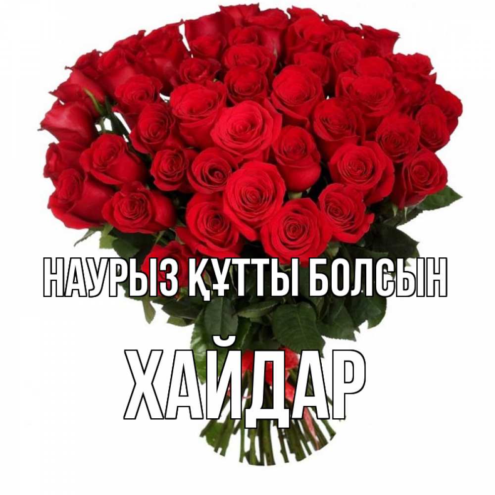 Күн сайын ашық хат с именем, ХАЙДАР Наурыз құтты болсын цветы на праздник весны наурыз Онлайн тегін жүктеп алу тілектері бар керемет карта 