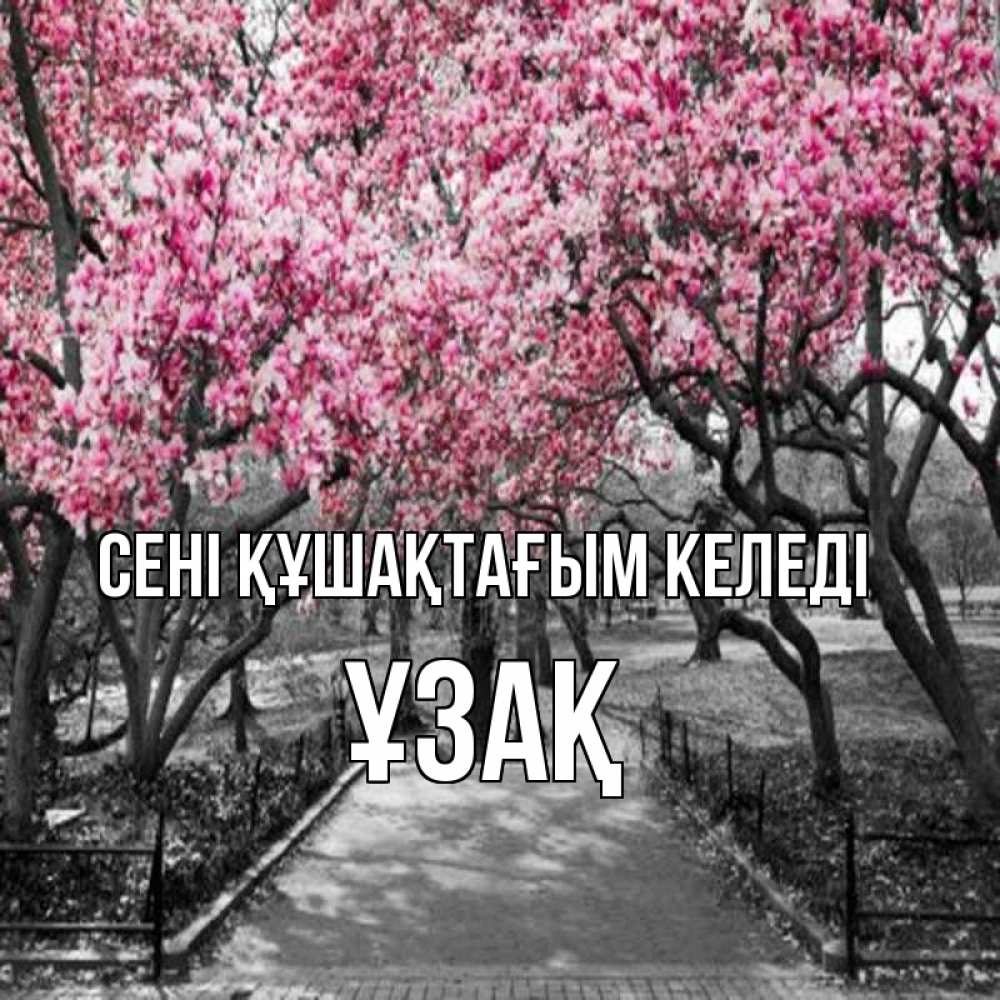 Күн сайын ашық хат с именем, ҰЗАҚ сені құшақтағым келеді обработанное фото Онлайн тегін жүктеп алу тілектері бар керемет карта 