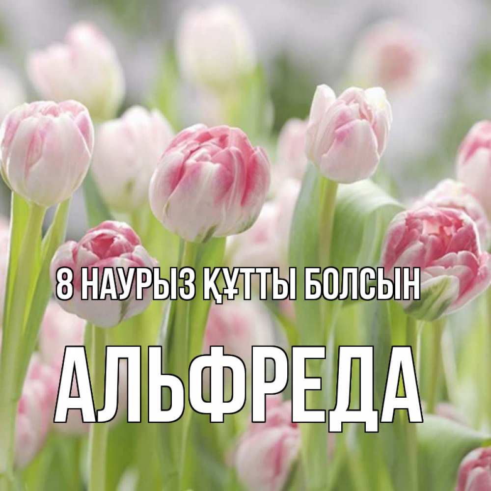 Күн сайын ашық хат с именем, Альфреда 8 наурыз құтты болсын цветы Онлайн тегін жүктеп алу тілектері бар керемет карта 