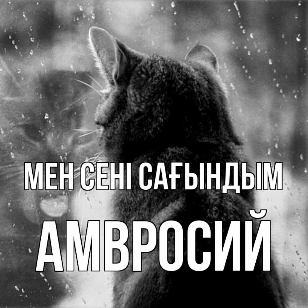 Күн сайын ашық хат с именем, Амвросий Мен сені сағындым скорее ко мне приходи 1 Онлайн тегін жүктеп алу тілектері бар керемет карта 