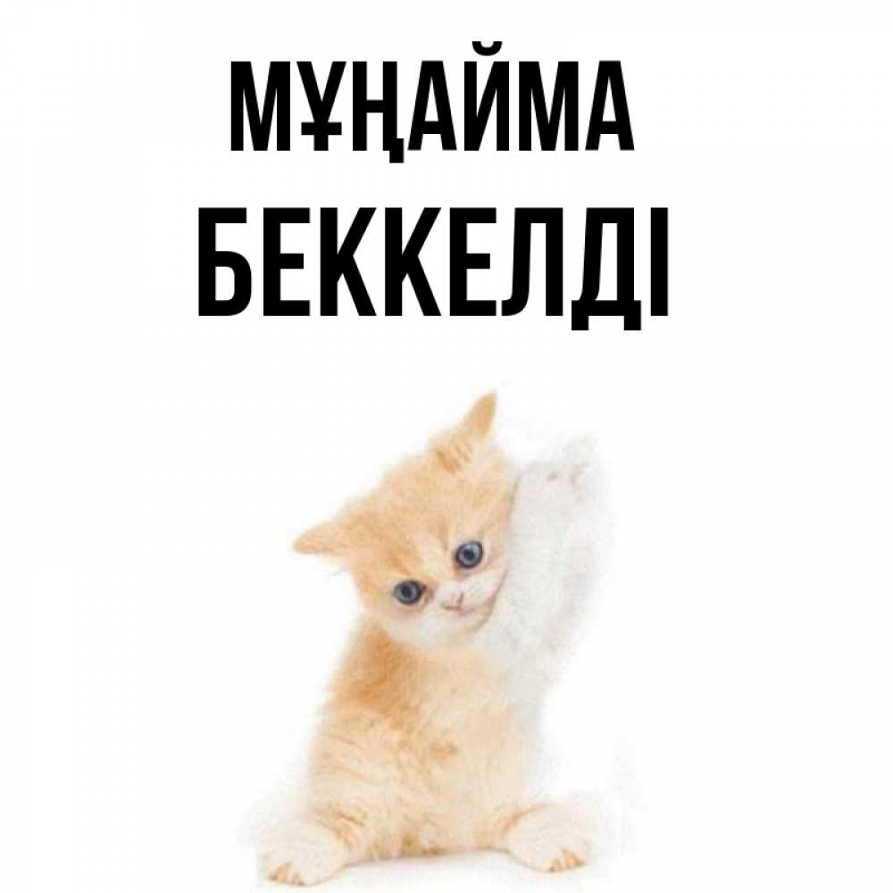 Күн сайын ашық хат с именем, Беккелді Мұңайма просящий кот Онлайн тегін жүктеп алу тілектері бар керемет карта 