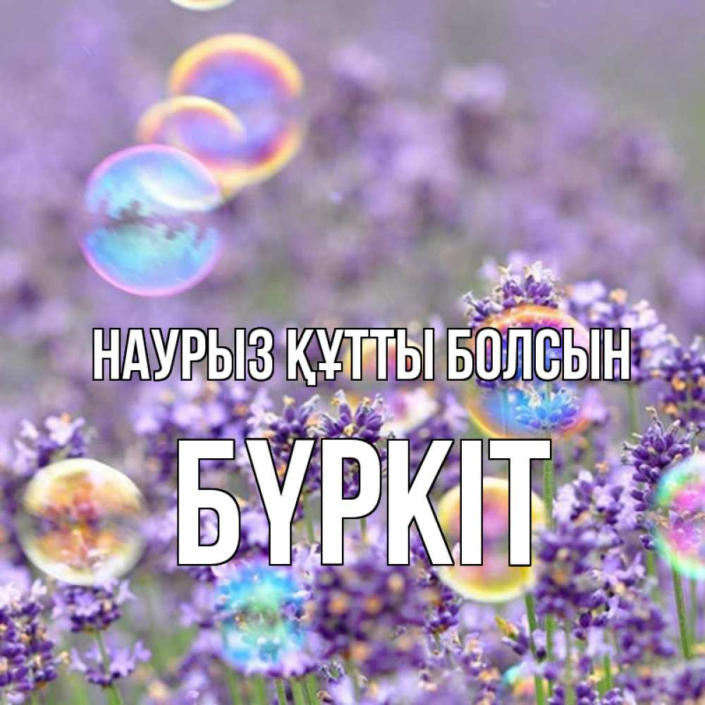 Күн сайын ашық хат с именем, Бүркіт Наурыз құтты болсын цветы Онлайн тегін жүктеп алу тілектері бар керемет карта 
