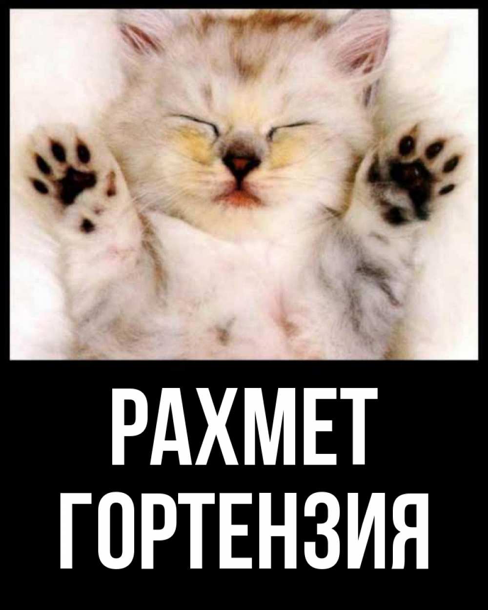 Күн сайын ашық хат с именем, Гортензия рахмет маленький котенок Онлайн тегін жүктеп алу тілектері бар керемет карта 