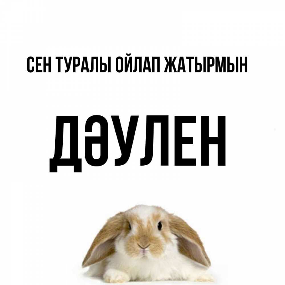 Күн сайын ашық хат с именем, Дәулен Сен туралы ойлап жатырмын подписать своими руками онлайн Онлайн тегін жүктеп алу тілектері бар керемет карта 
