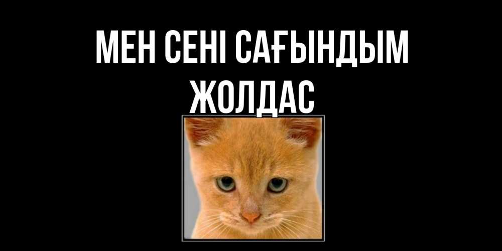 Күн сайын ашық хат с именем, Жолдас Мен сені сағындым открытки рыжий котенок скучает по тебе Онлайн тегін жүктеп алу тілектері бар керемет карта 