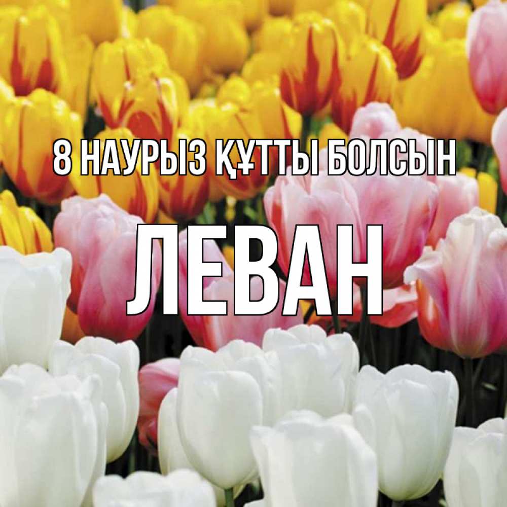 Күн сайын ашық хат с именем, Леван 8 наурыз құтты болсын разноцветные цветы Онлайн тегін жүктеп алу тілектері бар керемет карта 