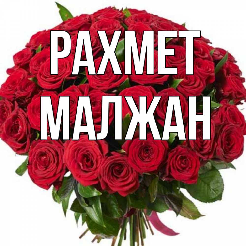 Күн сайын ашық хат с именем, МАЛЖАН рахмет букет красных роз Онлайн тегін жүктеп алу тілектері бар керемет карта 