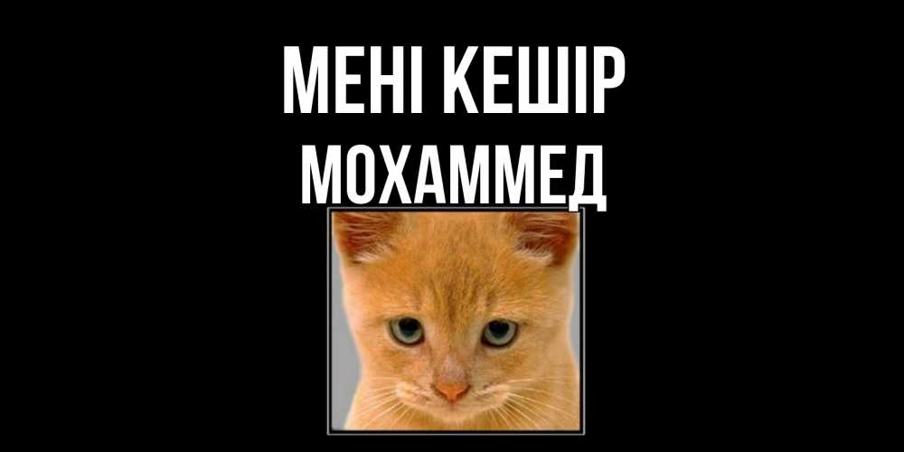 Күн сайын ашық хат с именем, Мохаммед Мені кешір рыжий грустный кот просит прощения Онлайн тегін жүктеп алу тілектері бар керемет карта 