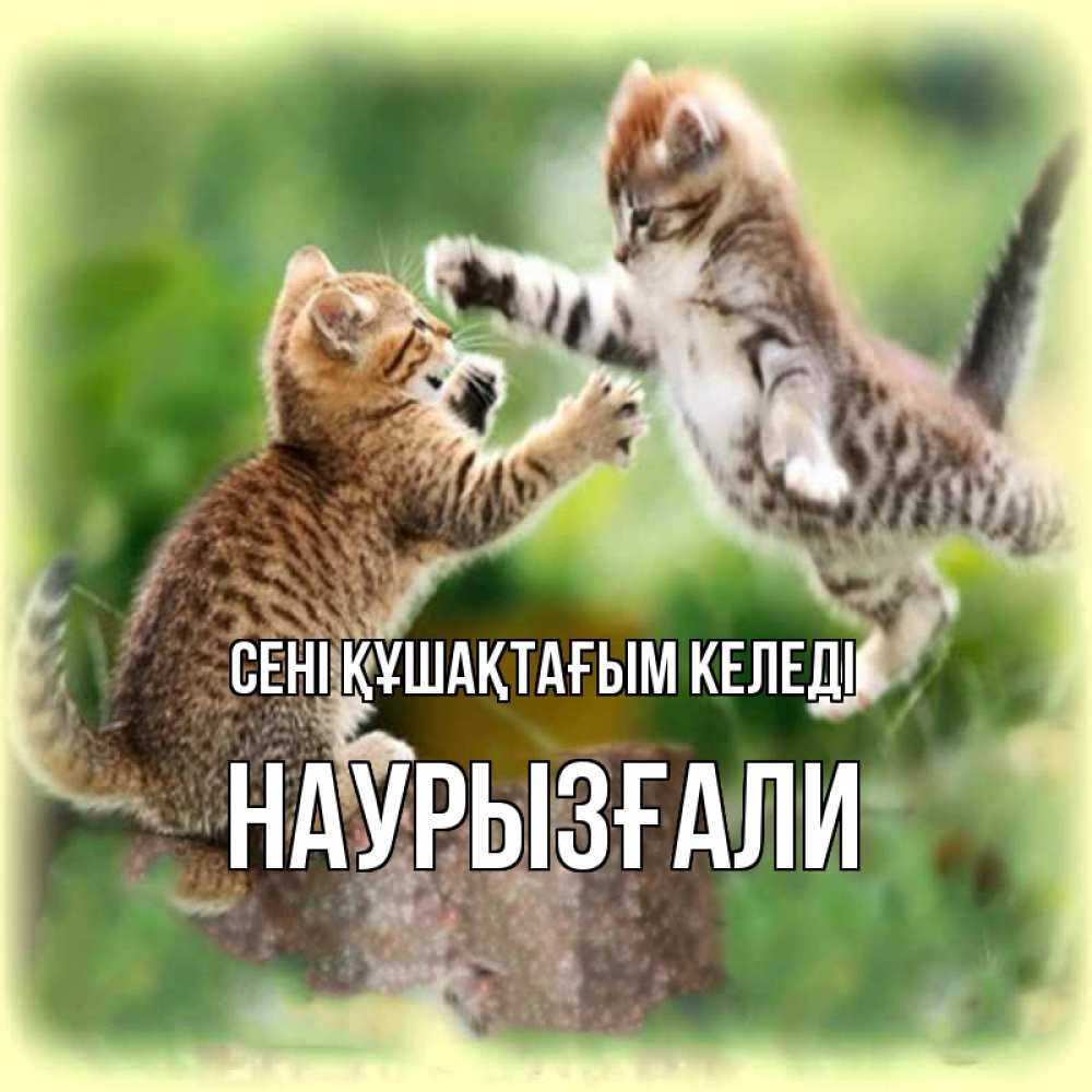 Күн сайын ашық хат с именем, Наурызғали сені құшақтағым келеді игры котят Онлайн тегін жүктеп алу тілектері бар керемет карта 